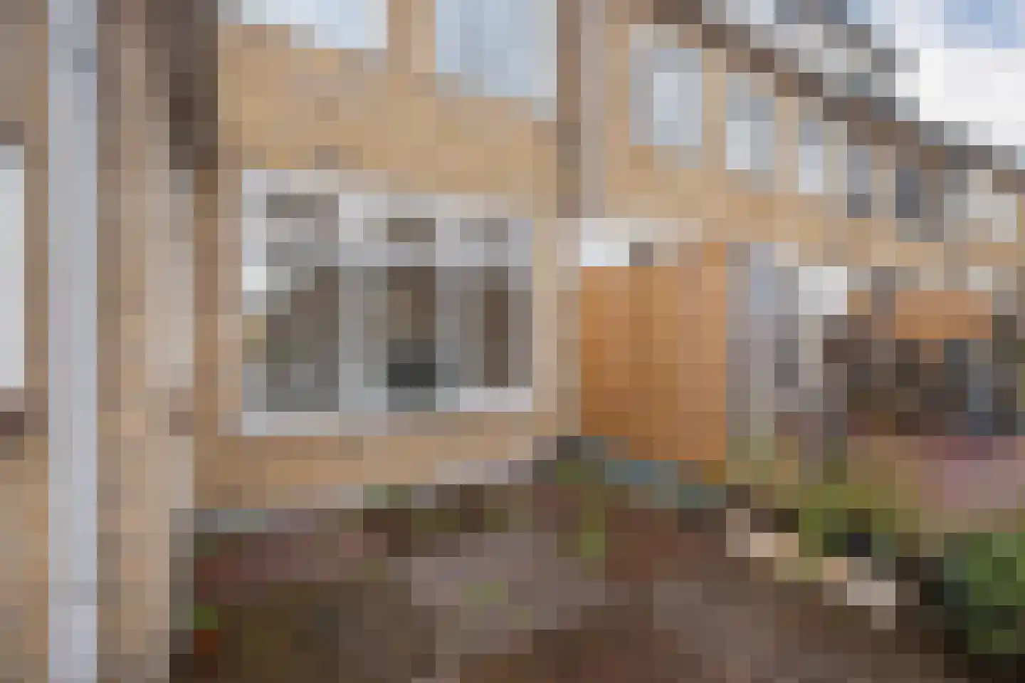 Van Toulon van der Koogweg 12 A Oosterbeek thumbnail 13