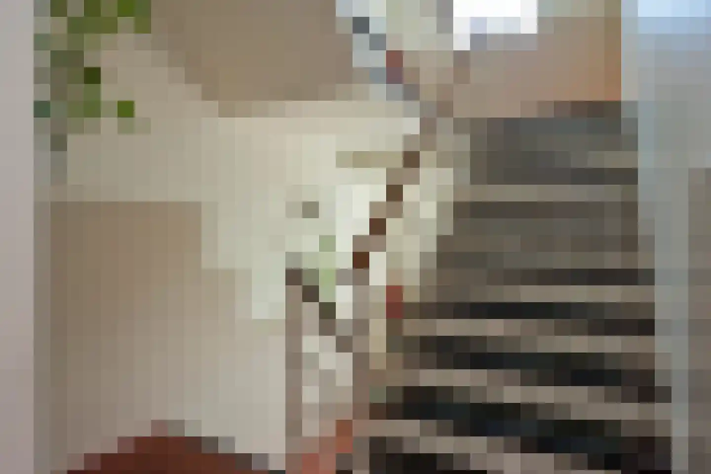 Van Toulon van der Koogweg 20 I Oosterbeek thumbnail 5