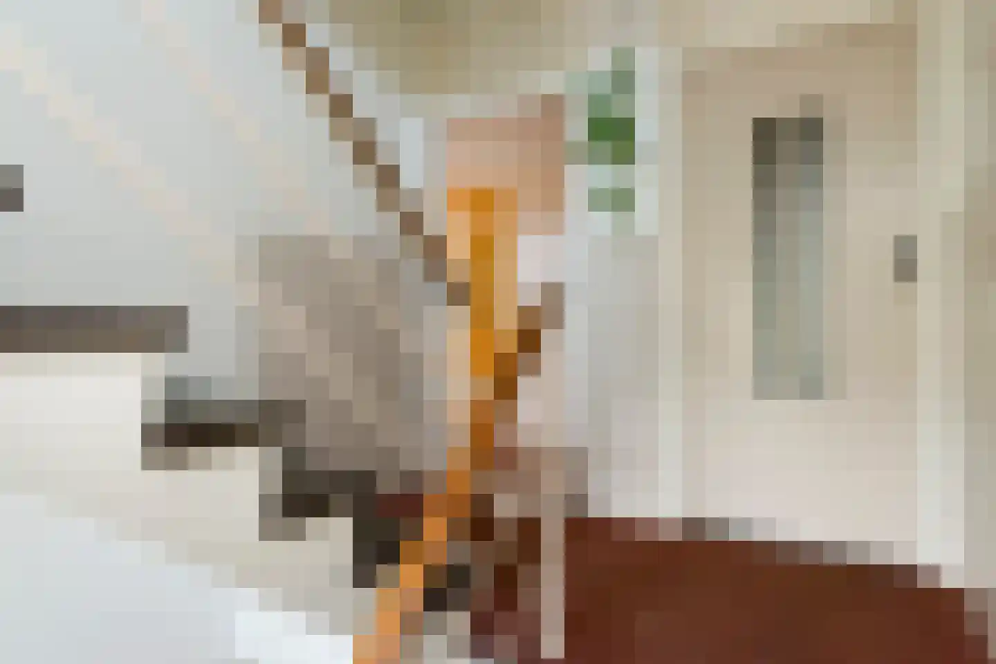 Van Toulon van der Koogweg 20 I Oosterbeek thumbnail 6