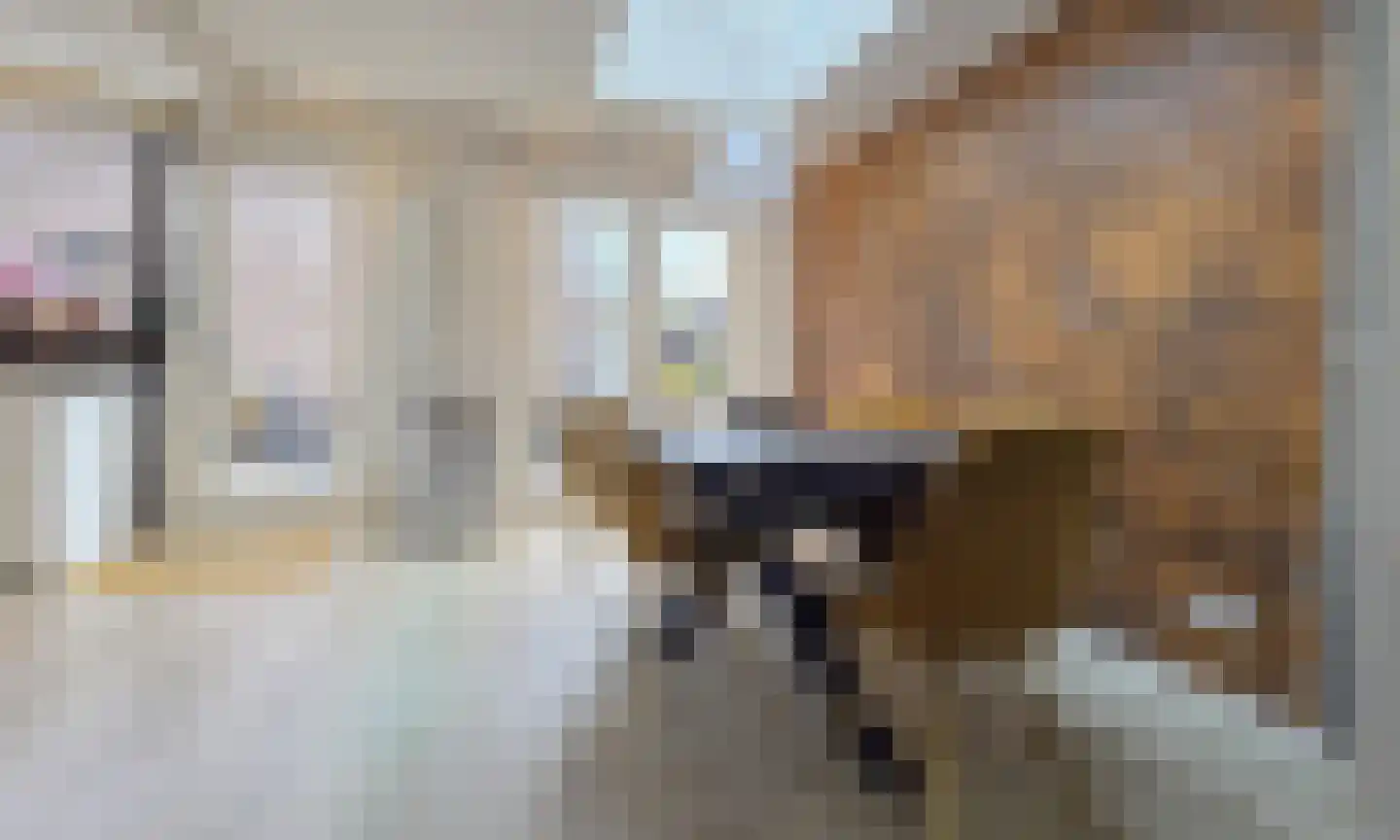 Van Toulon van der Koogweg 32 Oosterbeek thumbnail 7
