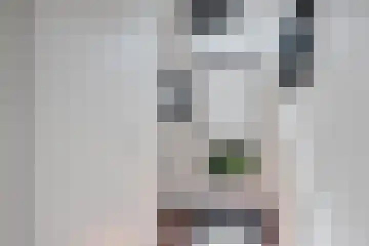 van Toutenburglaan 104 Coevorden thumbnail 11
