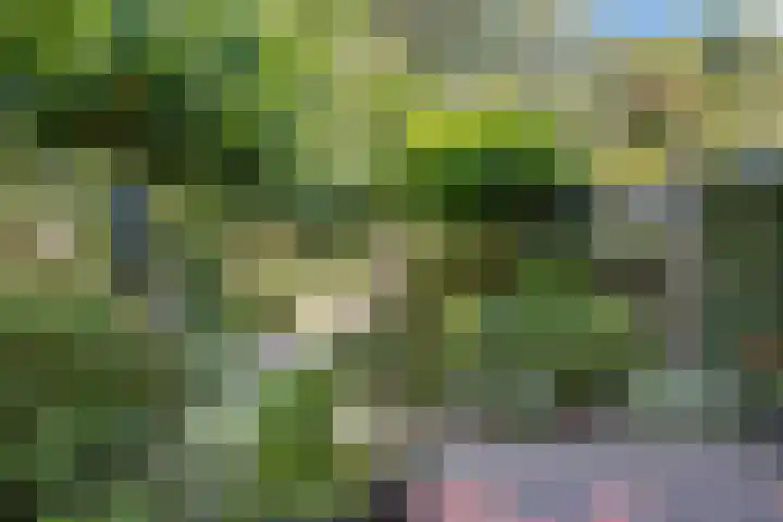 van Toutenburglaan 104 Coevorden thumbnail 26