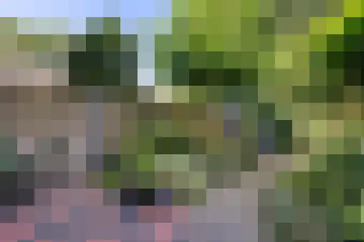 van Toutenburglaan 104 Coevorden thumbnail 27