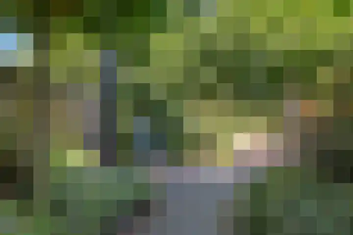 van Toutenburglaan 104 Coevorden thumbnail 28