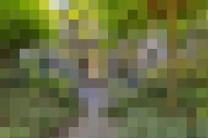van Toutenburglaan 104 Coevorden thumbnail 29