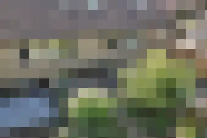 van Toutenburglaan 104 Coevorden thumbnail 31
