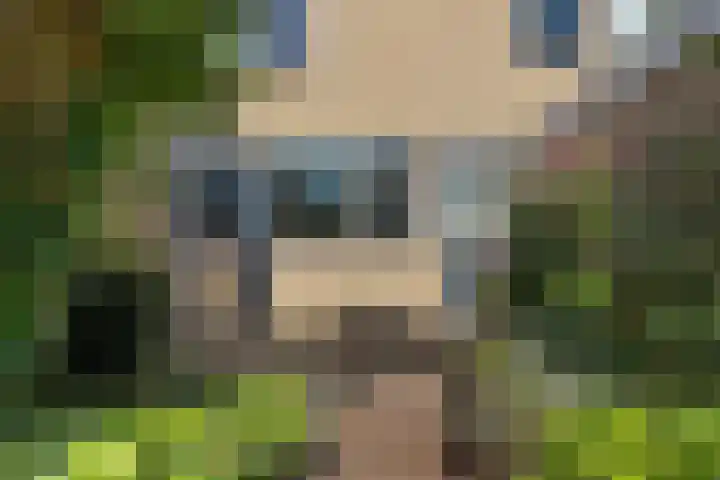 van Toutenburglaan 104 Coevorden thumbnail 33