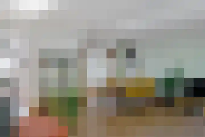 van Toutenburglaan 104 Coevorden thumbnail 5