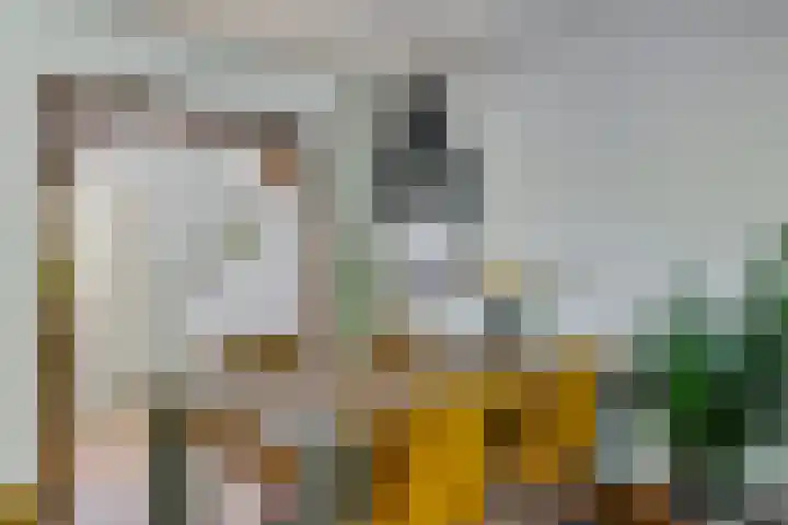 van Toutenburglaan 104 Coevorden thumbnail 6