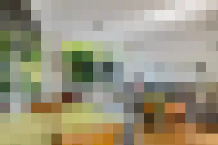 van Toutenburglaan 104 Coevorden thumbnail 8