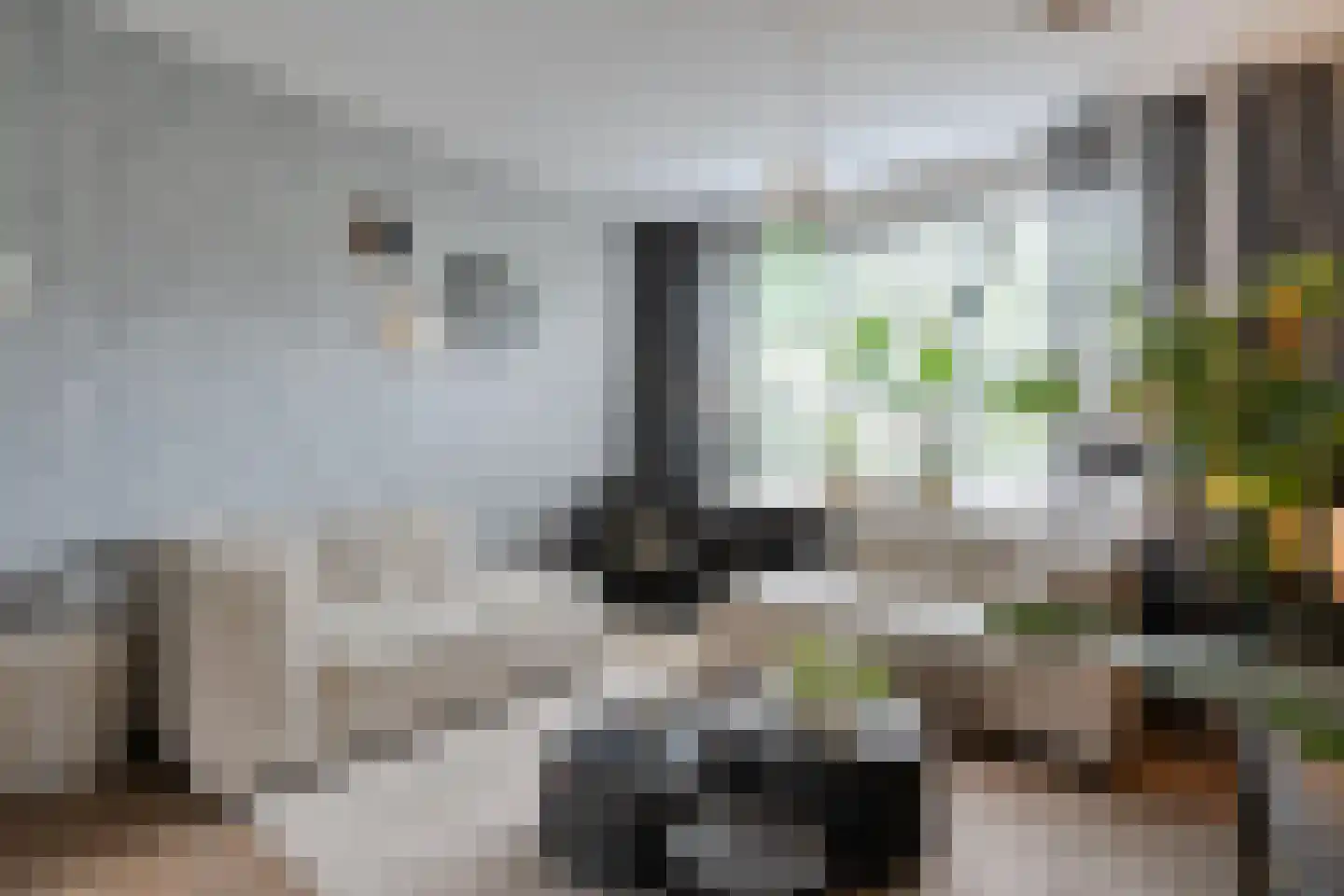 van Toutenburglaan 50 Coevorden thumbnail 10