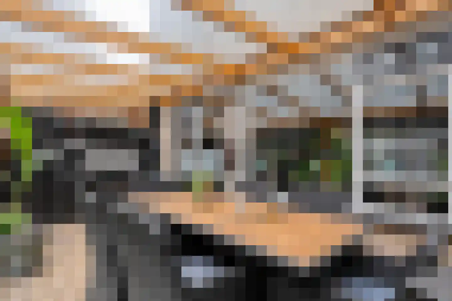 van Toutenburglaan 50 Coevorden thumbnail 31
