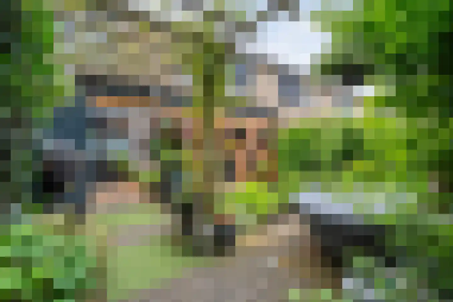 van Toutenburglaan 50 Coevorden thumbnail 33