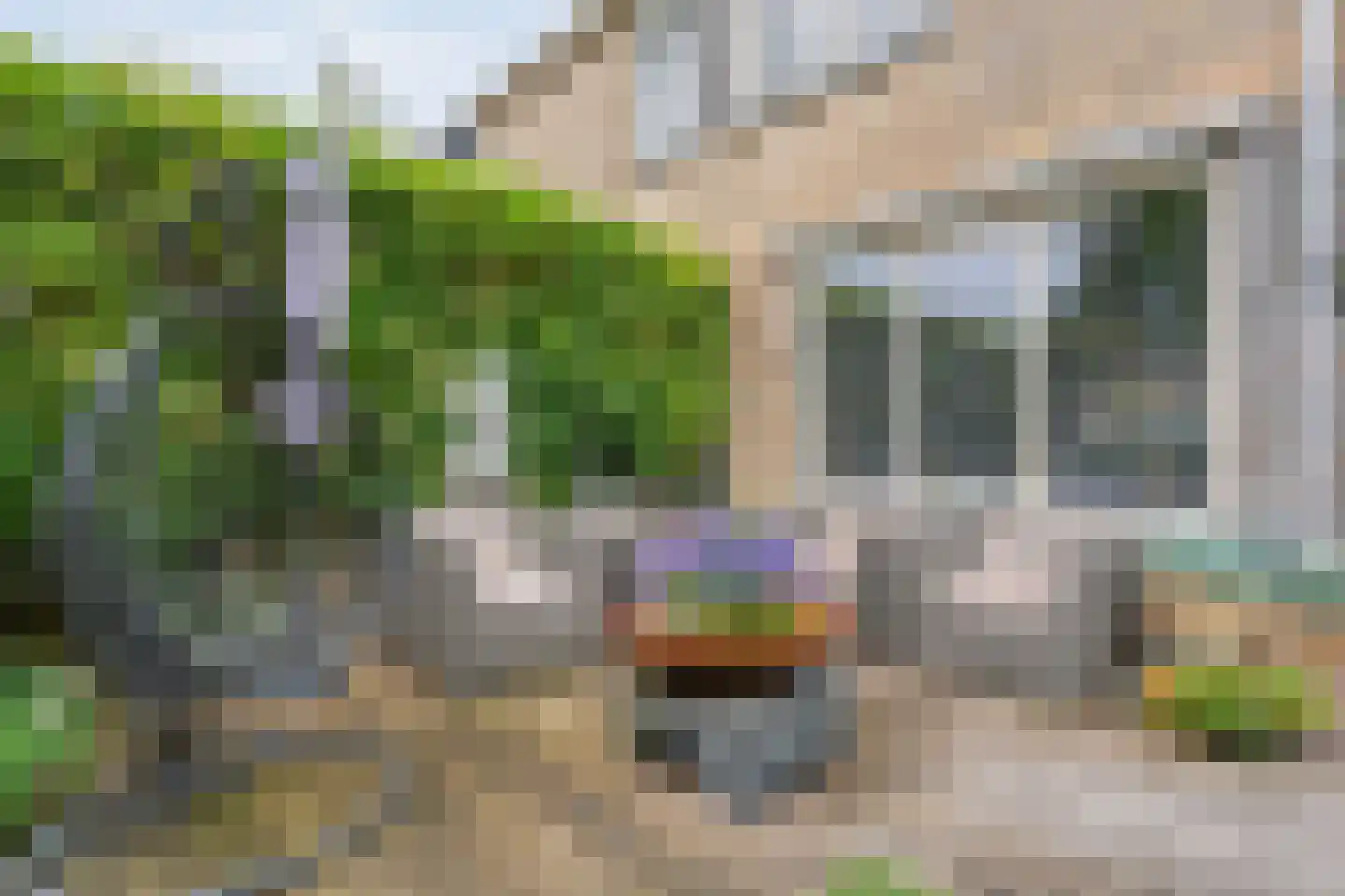 van Toutenburglaan 50 Coevorden thumbnail 39