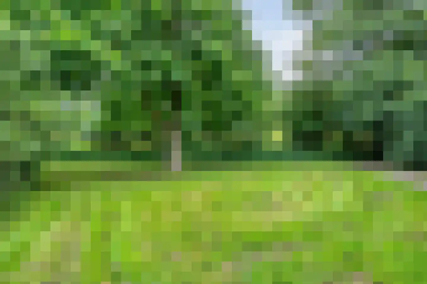 van Toutenburglaan 50 Coevorden thumbnail 43