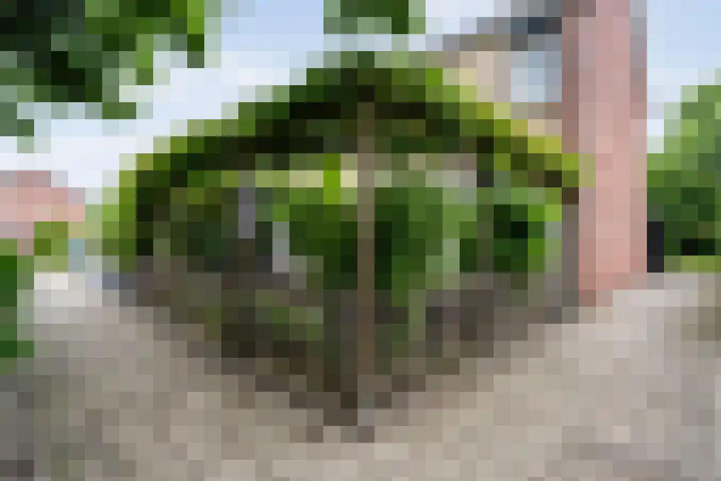 van Toutenburglaan 50 Coevorden thumbnail 5
