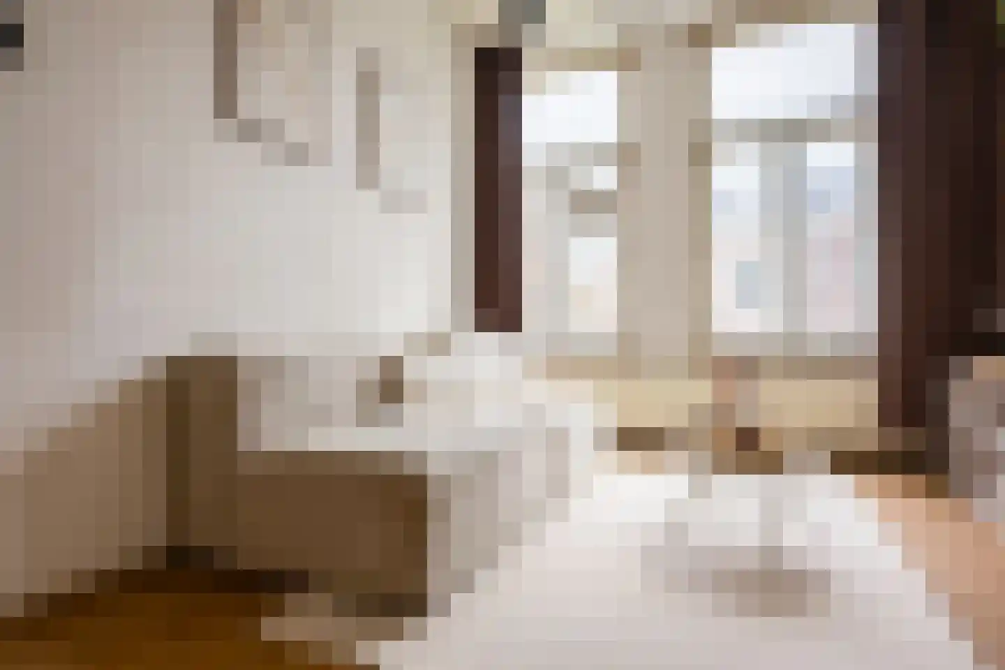 van Trieststraat 4 Nijmegen thumbnail 12