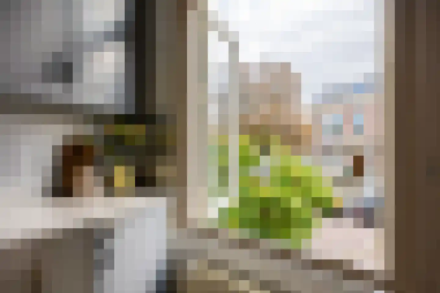 van Trieststraat 4 Nijmegen thumbnail 16