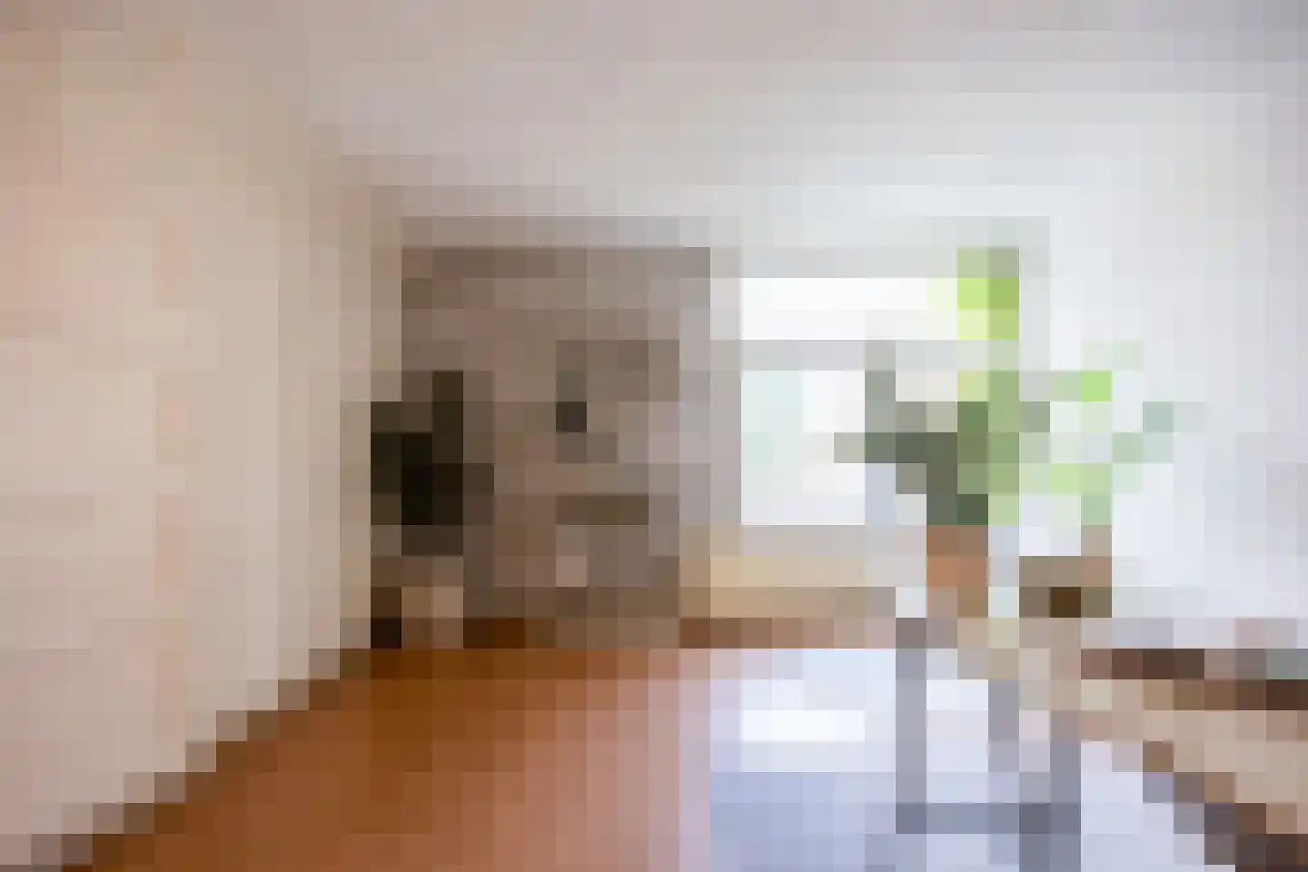 van Trieststraat 4 Nijmegen thumbnail 19