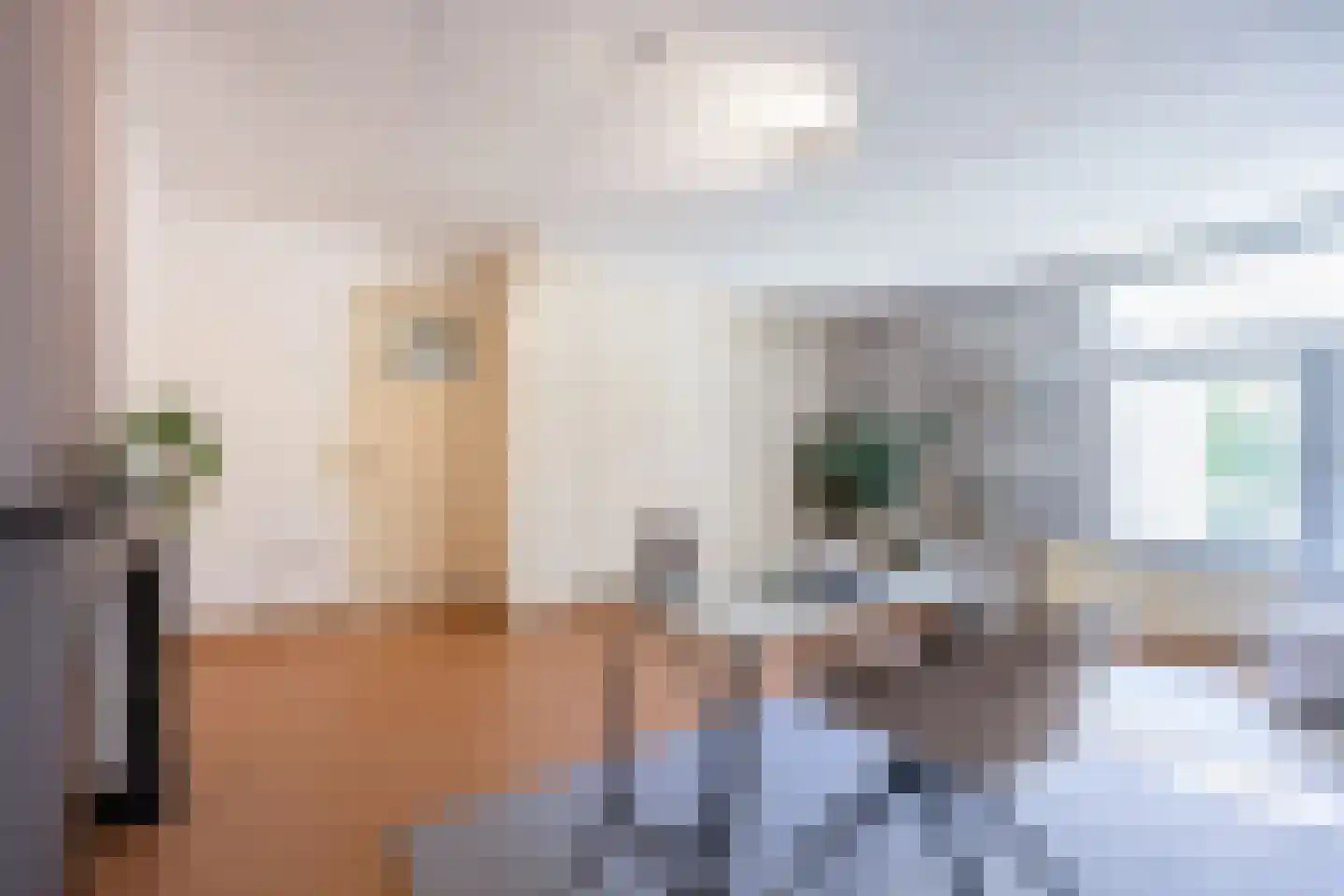 van Trieststraat 4 Nijmegen thumbnail 23