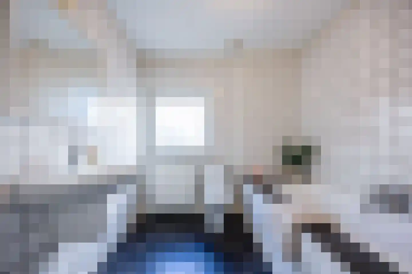 van Trieststraat 4 Nijmegen thumbnail 32
