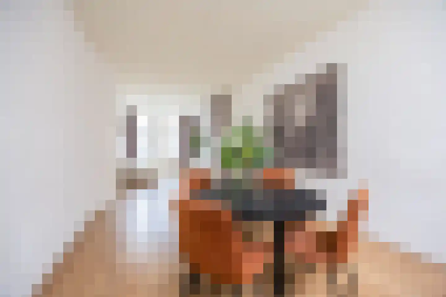 van Trieststraat 4 Nijmegen thumbnail 9