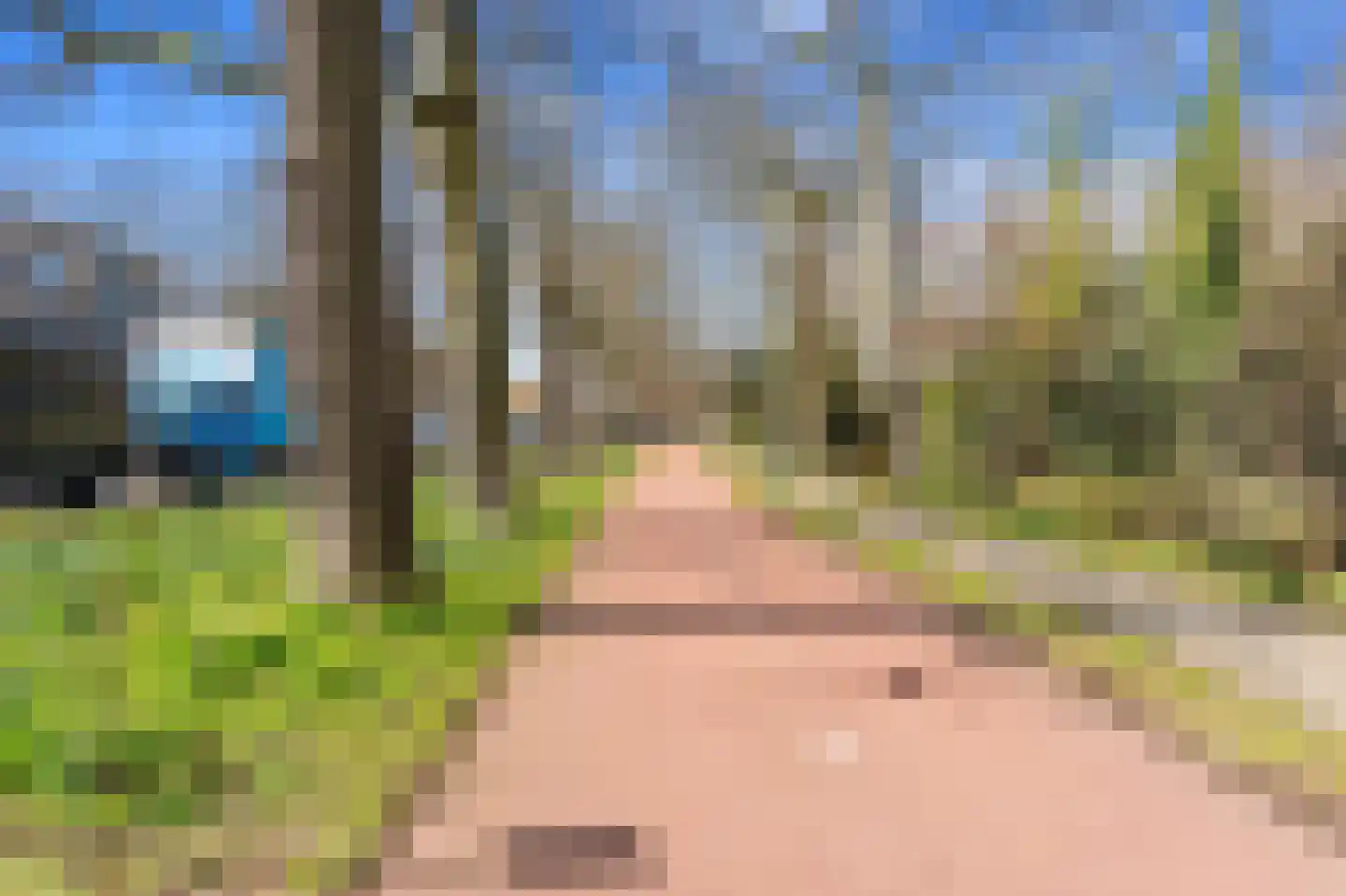 Van Trigtstraat 124 Den Haag thumbnail 30
