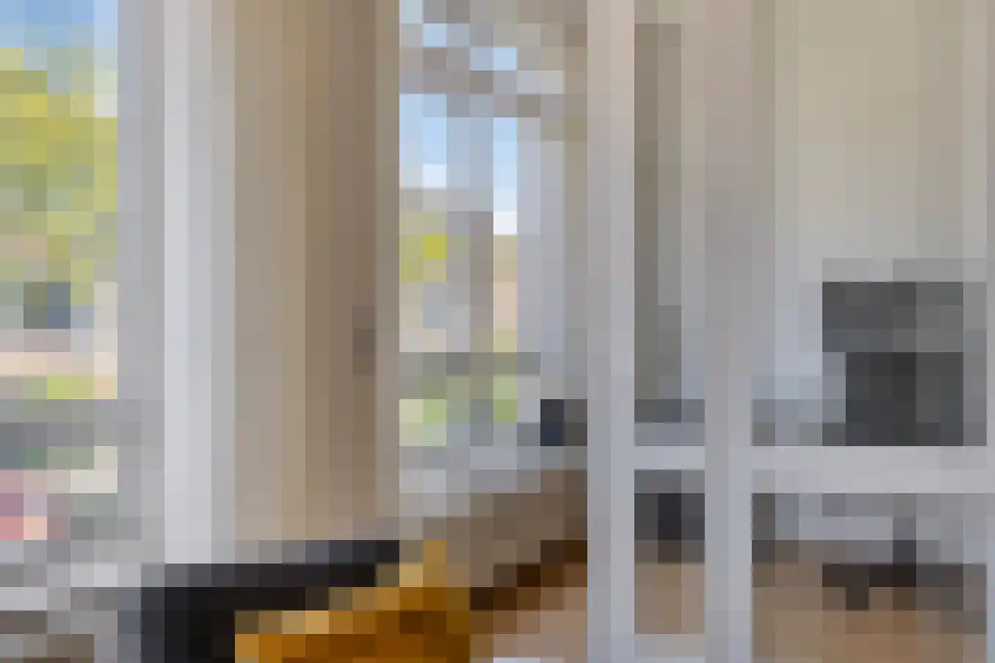 Van Trigtstraat 68 Den Haag thumbnail 10