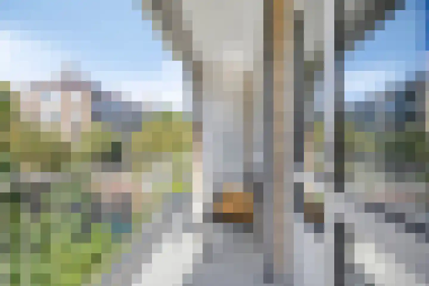 Van Trigtstraat 68 Den Haag thumbnail 17