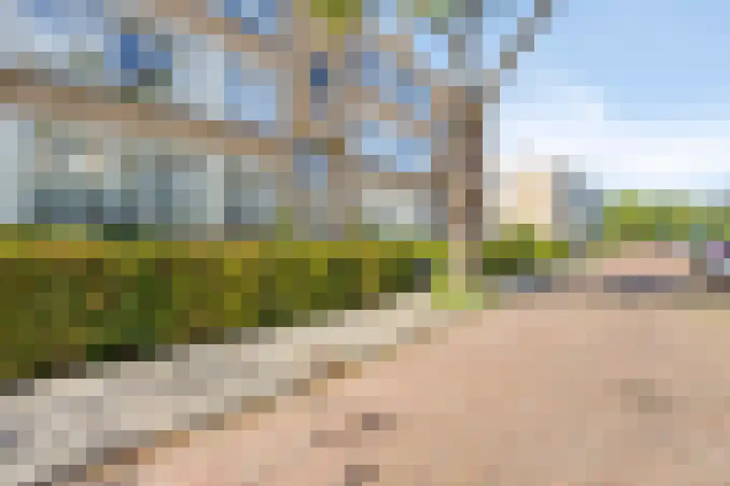 Van Trigtstraat 68 Den Haag thumbnail 24