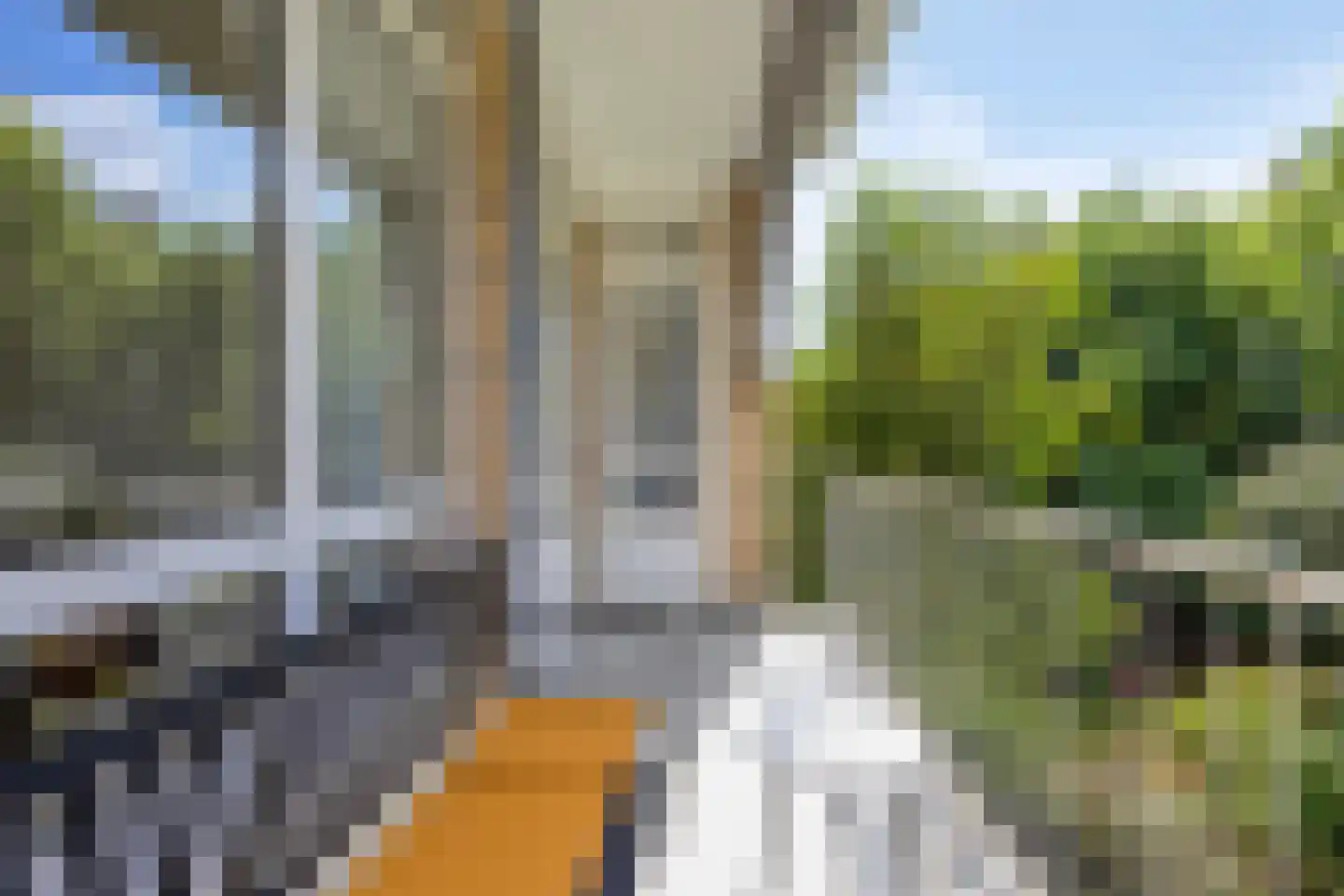 Van Trigtstraat 68 Den Haag thumbnail 4