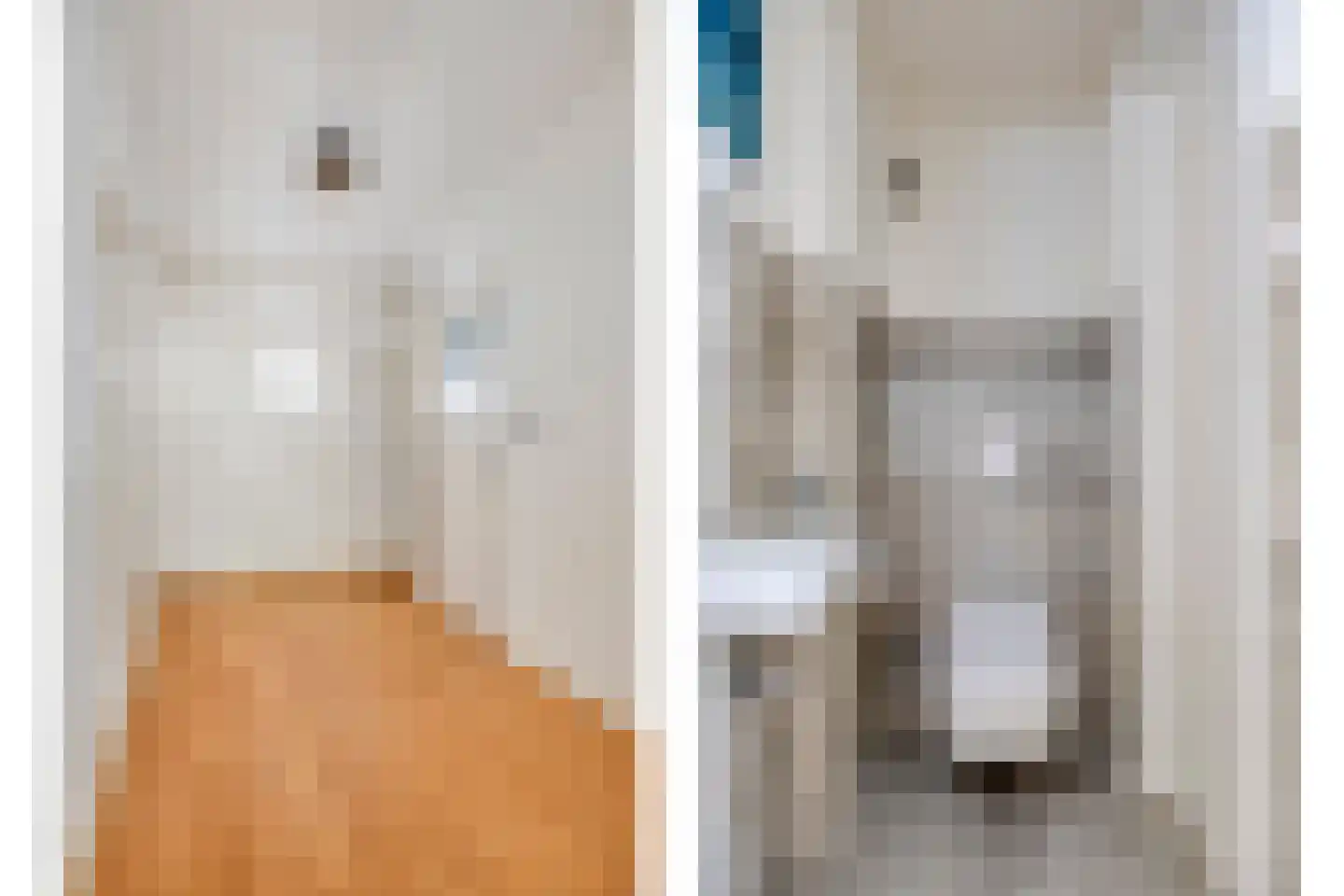 Van Trigtstraat 68 Den Haag thumbnail 6