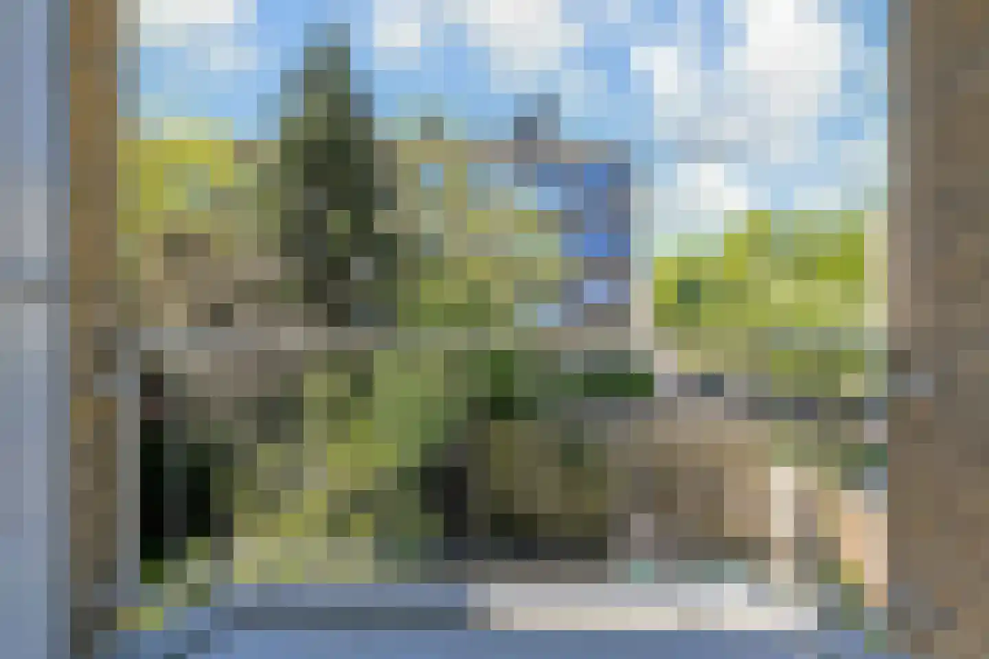 Van Trigtstraat 76 Den Haag thumbnail 16