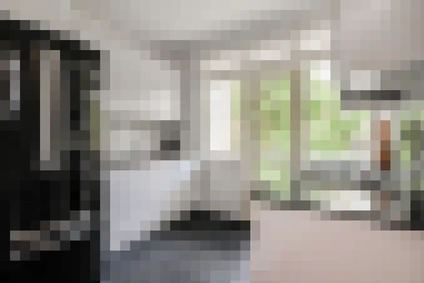 Van Trigtstraat 76 Den Haag thumbnail 22