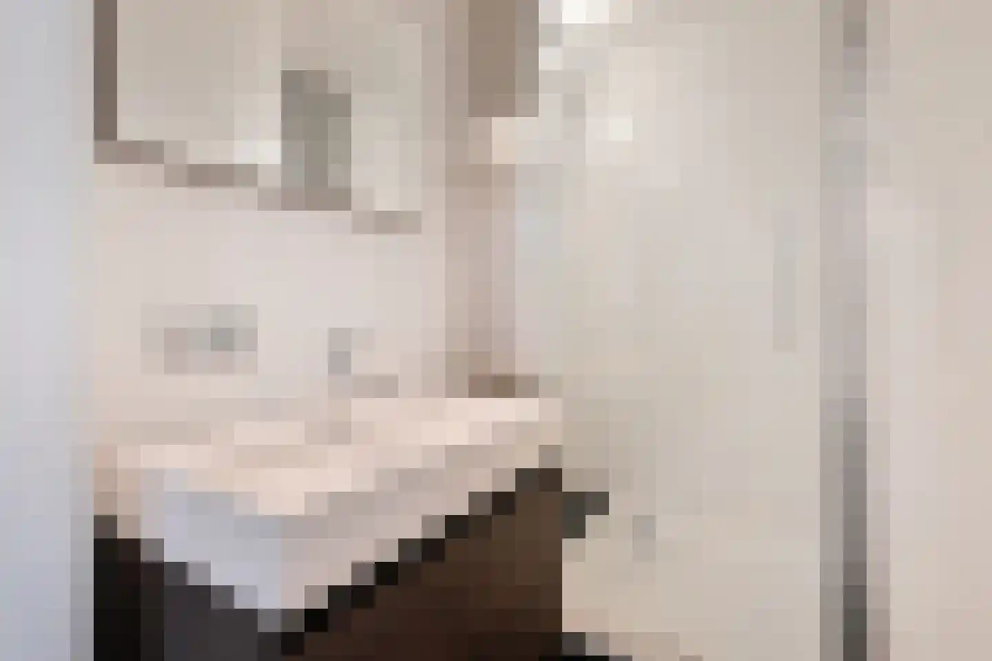 Van Trigtstraat 76 Den Haag thumbnail 26