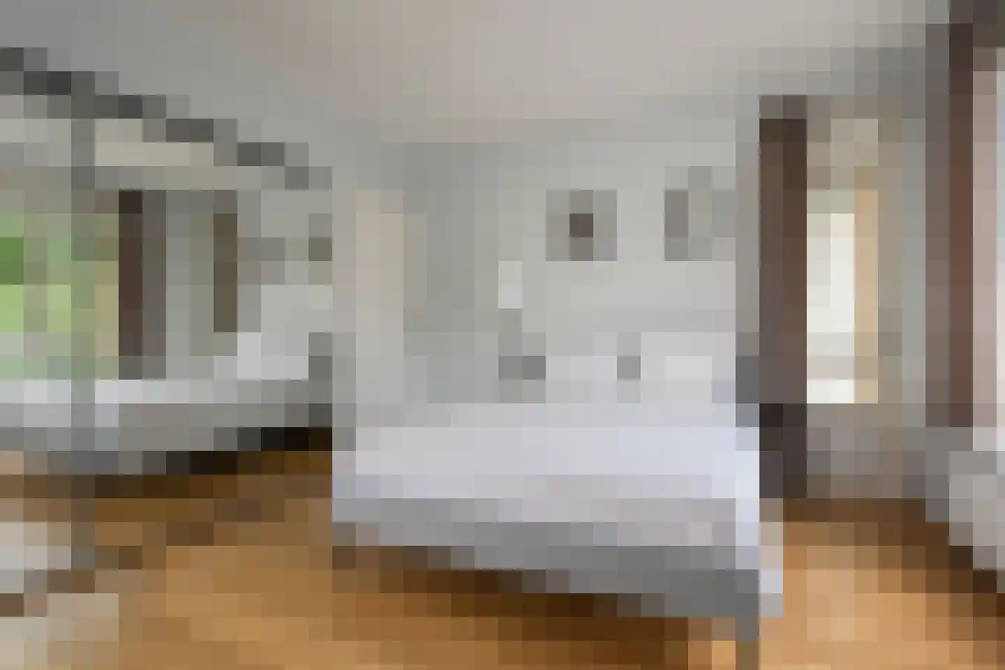 Van Trigtstraat 76 Den Haag thumbnail 4