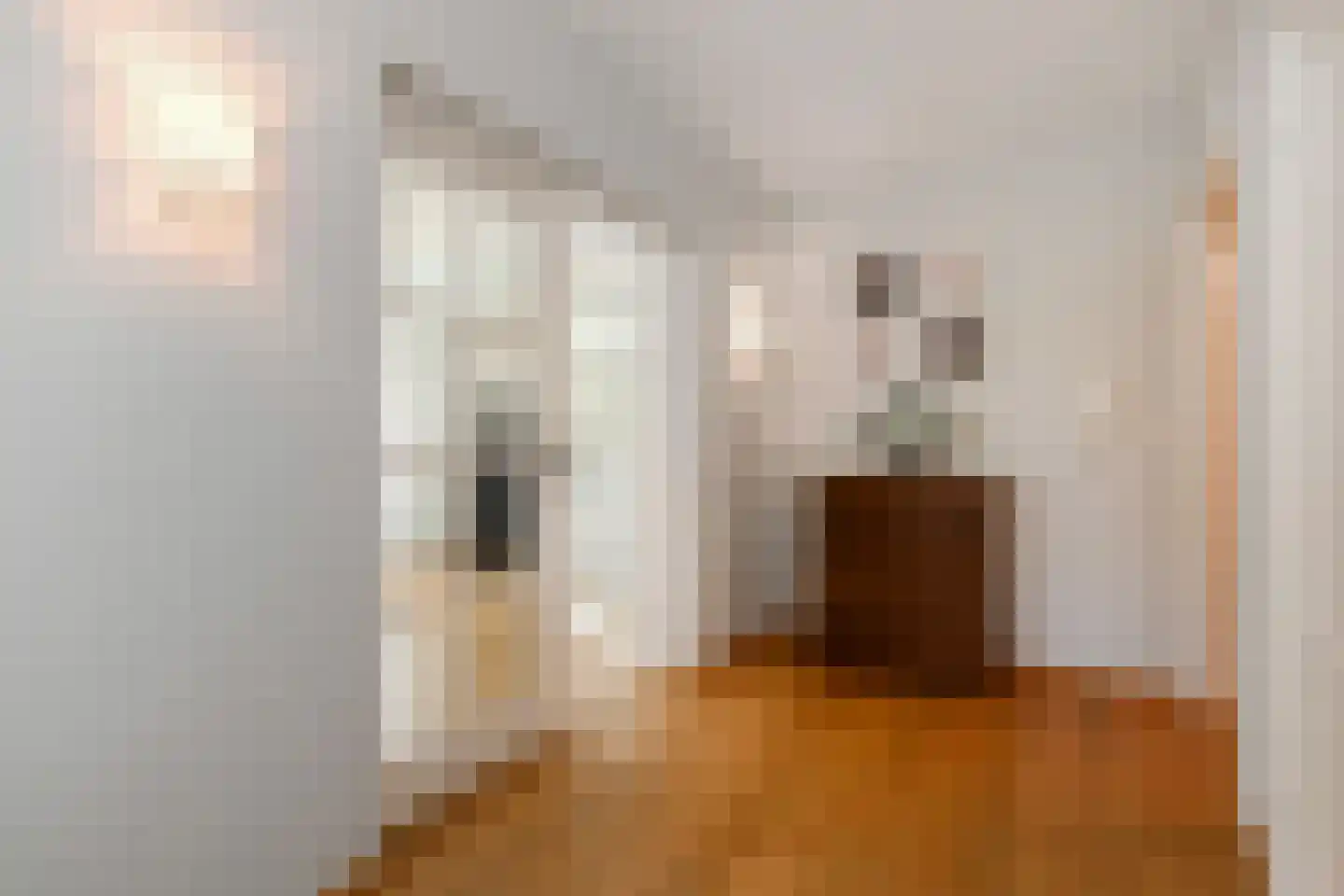 Van Trigtstraat 76 Den Haag thumbnail 7
