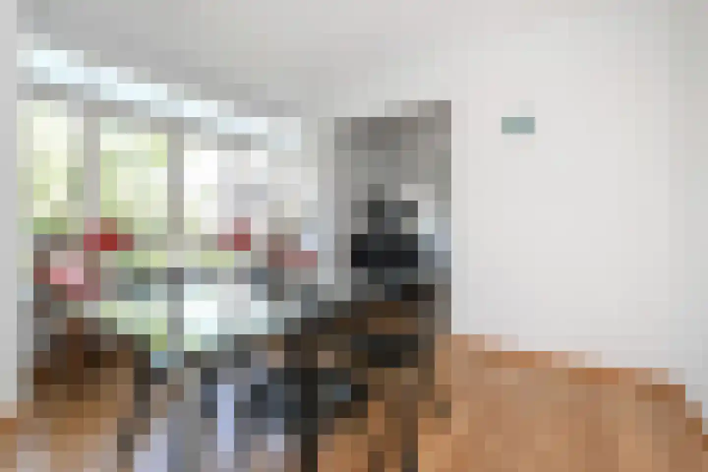 Van Trigtstraat 76 Den Haag thumbnail 8