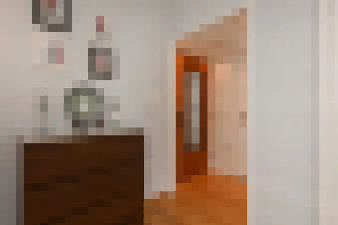 Van Trigtstraat 76 Den Haag thumbnail 8