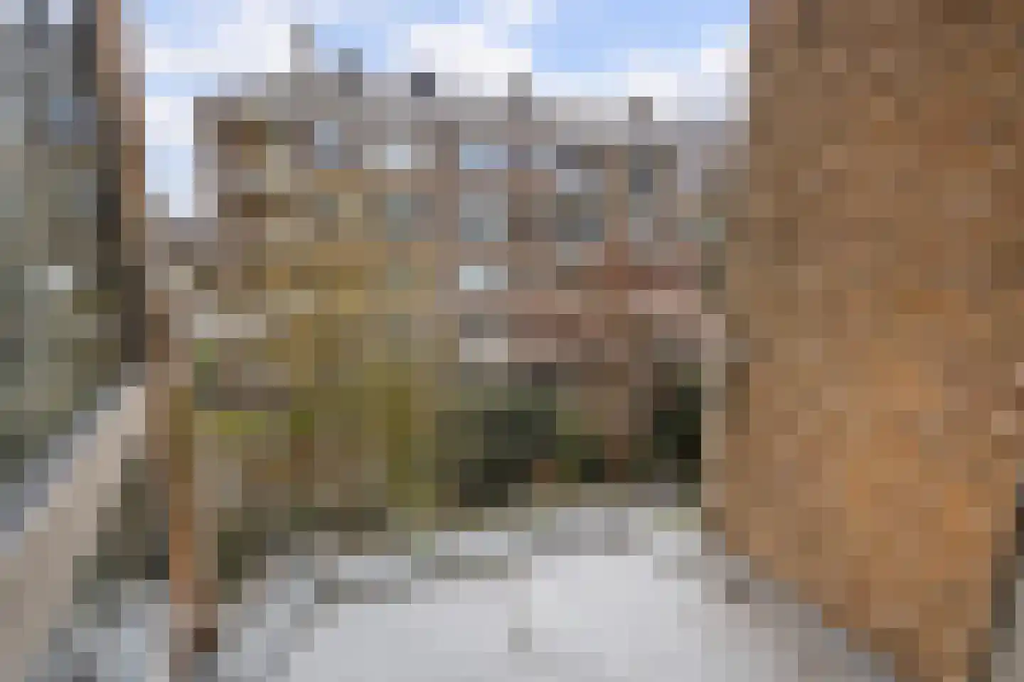 Van Trigtstraat 84 Den Haag thumbnail 14