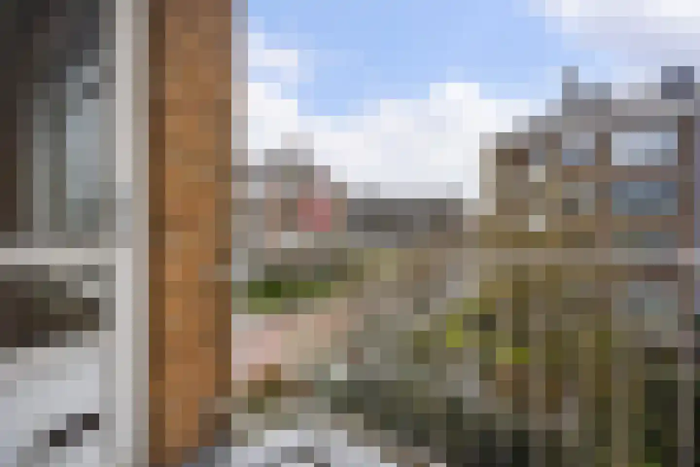 Van Trigtstraat 84 Den Haag thumbnail 20