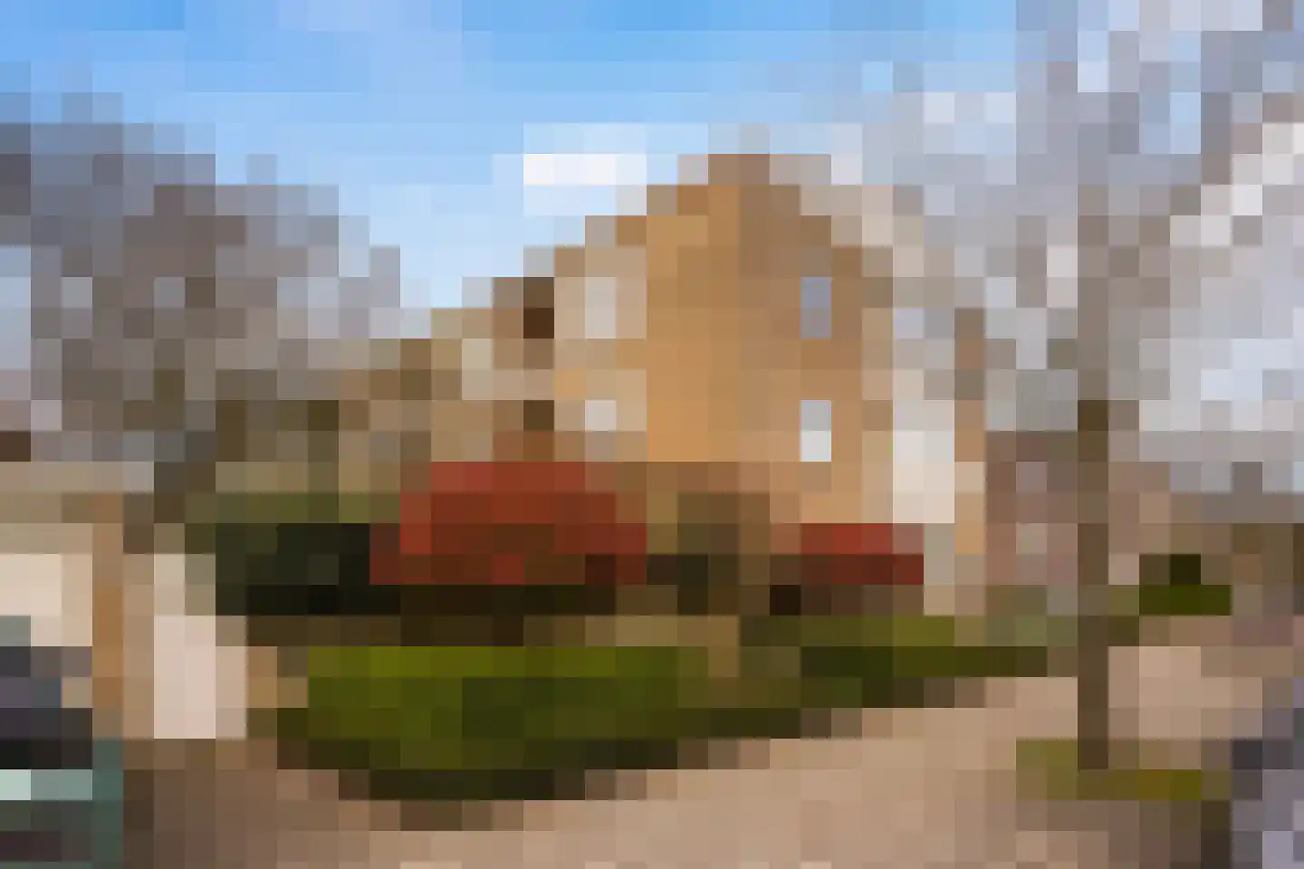 Van Trigtstraat 84 Den Haag thumbnail 31