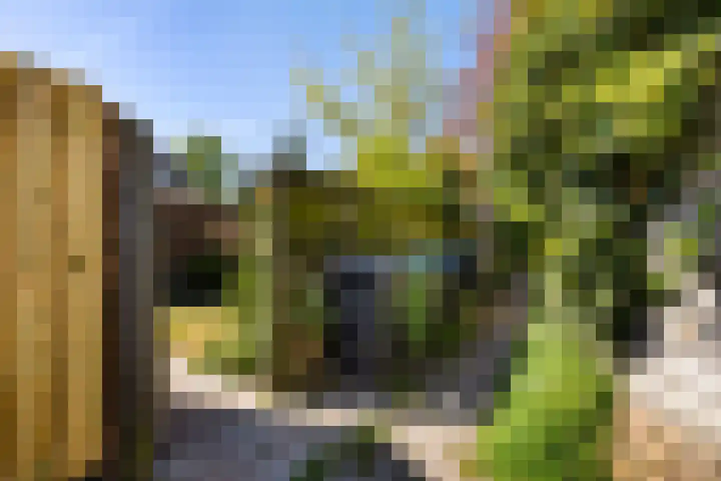 Van Trojenweg 16 Haren Gn thumbnail 19