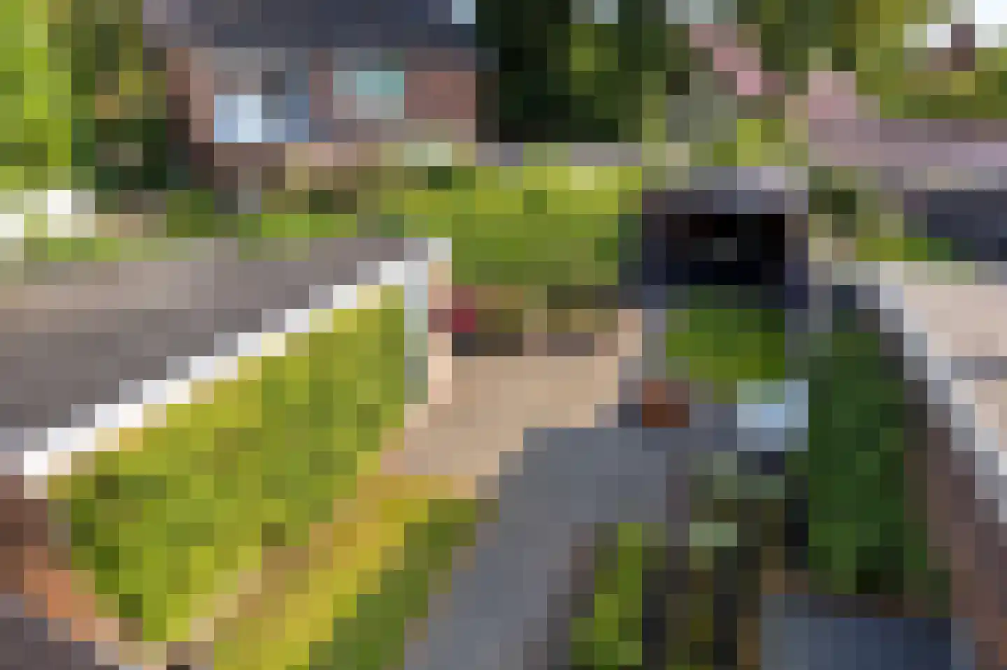 Van Trojenweg 2 Haren Gn thumbnail 30