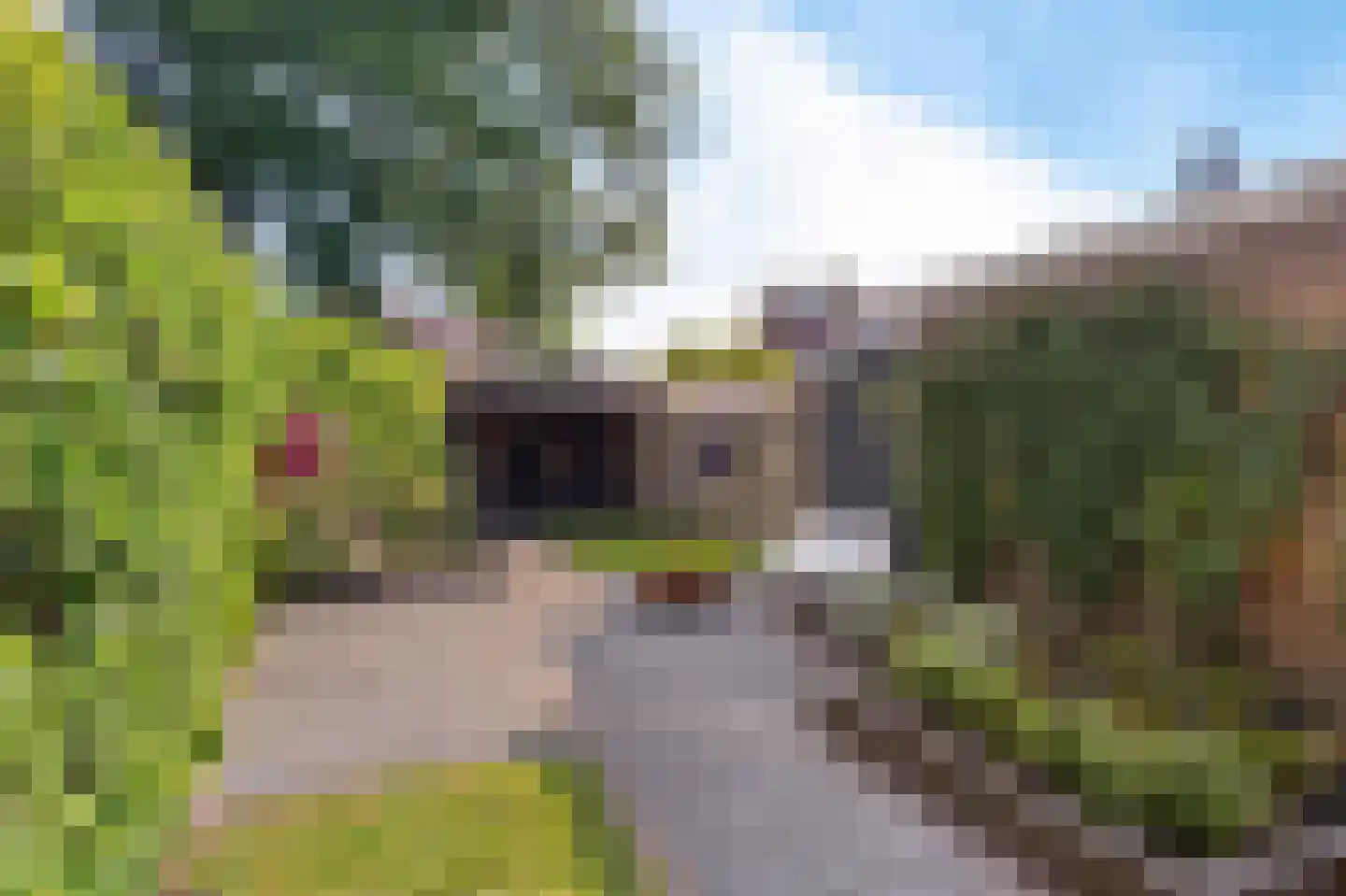 Van Trojenweg 2 Haren Gn thumbnail 34