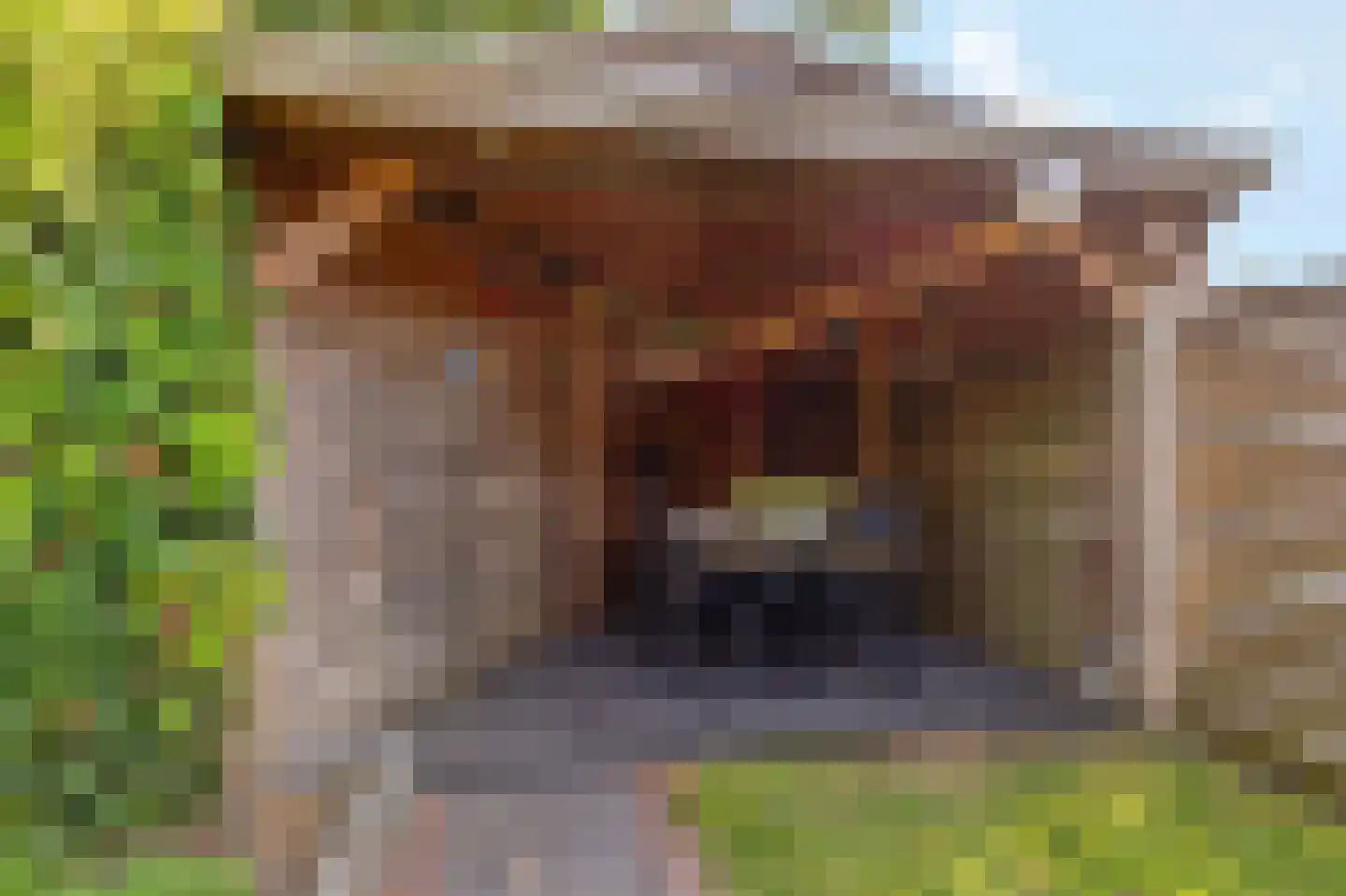 Van Trojenweg 2 Haren Gn thumbnail 36