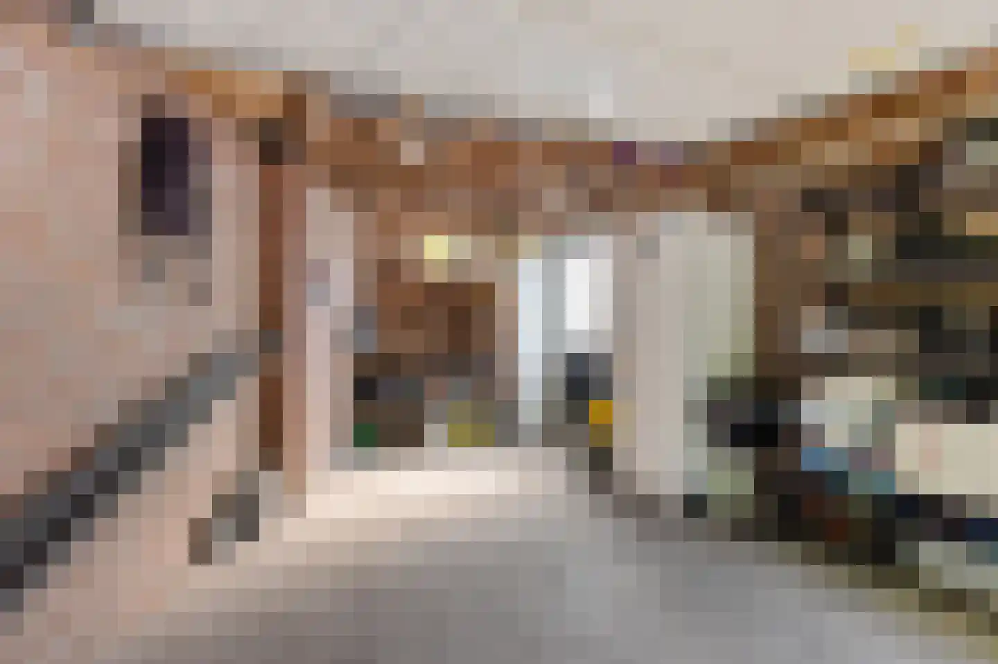 Van Trojenweg 2 Haren Gn thumbnail 38