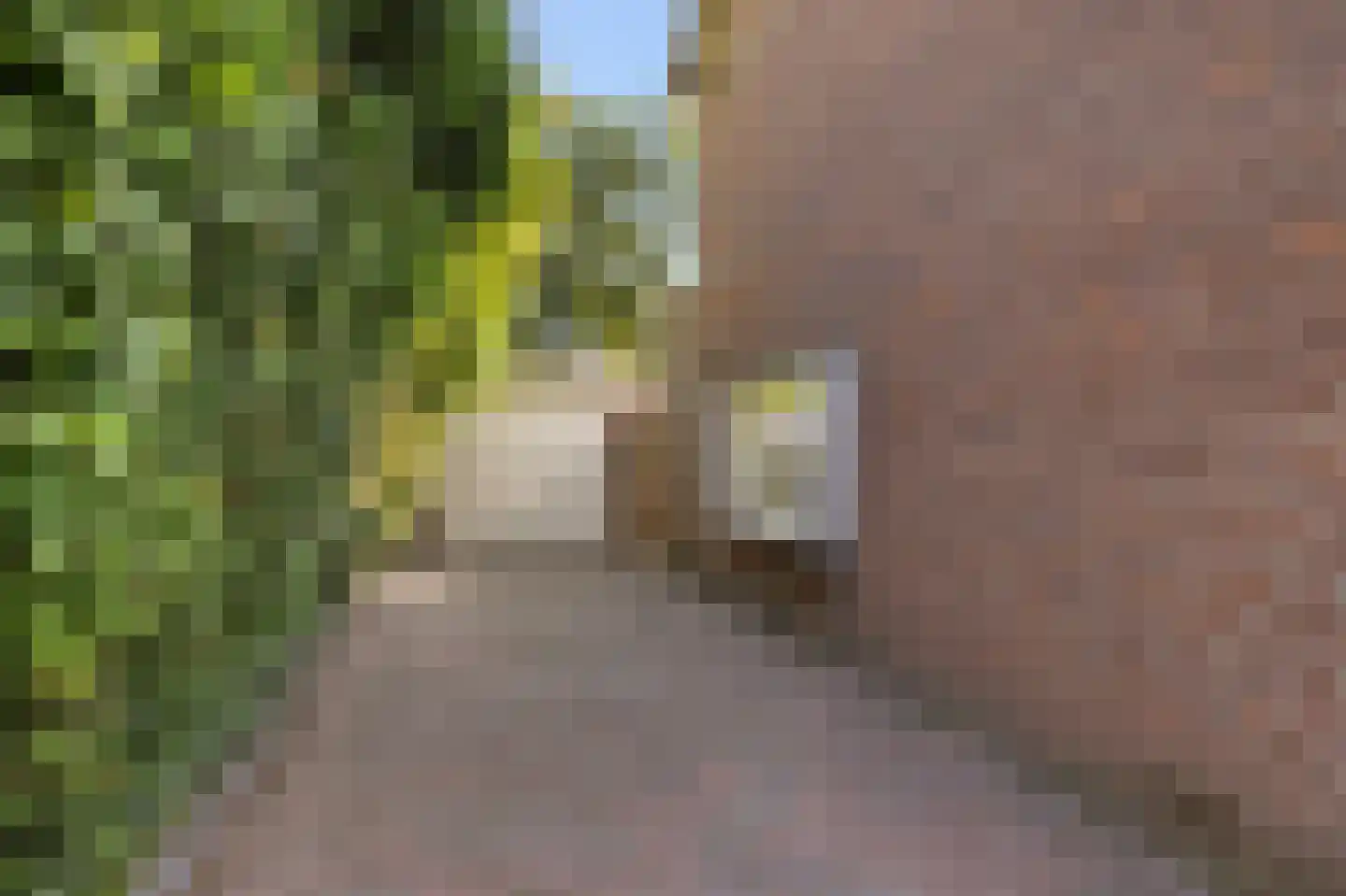Van Trojenweg 2 Haren Gn thumbnail 5