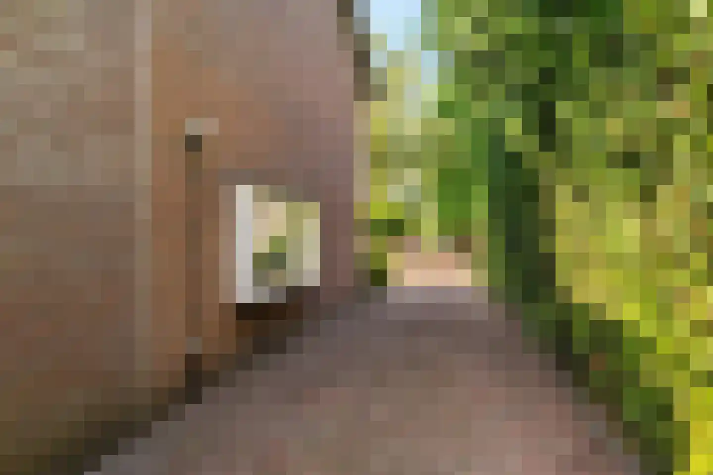 Van Trojenweg 2 Haren Gn thumbnail 6