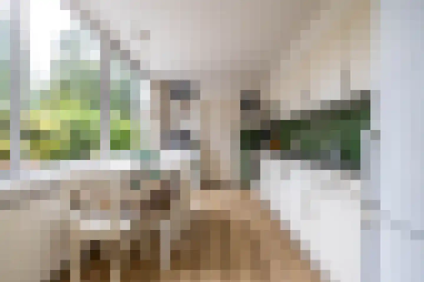 Van Trojenweg 3 Haren Gn thumbnail 15